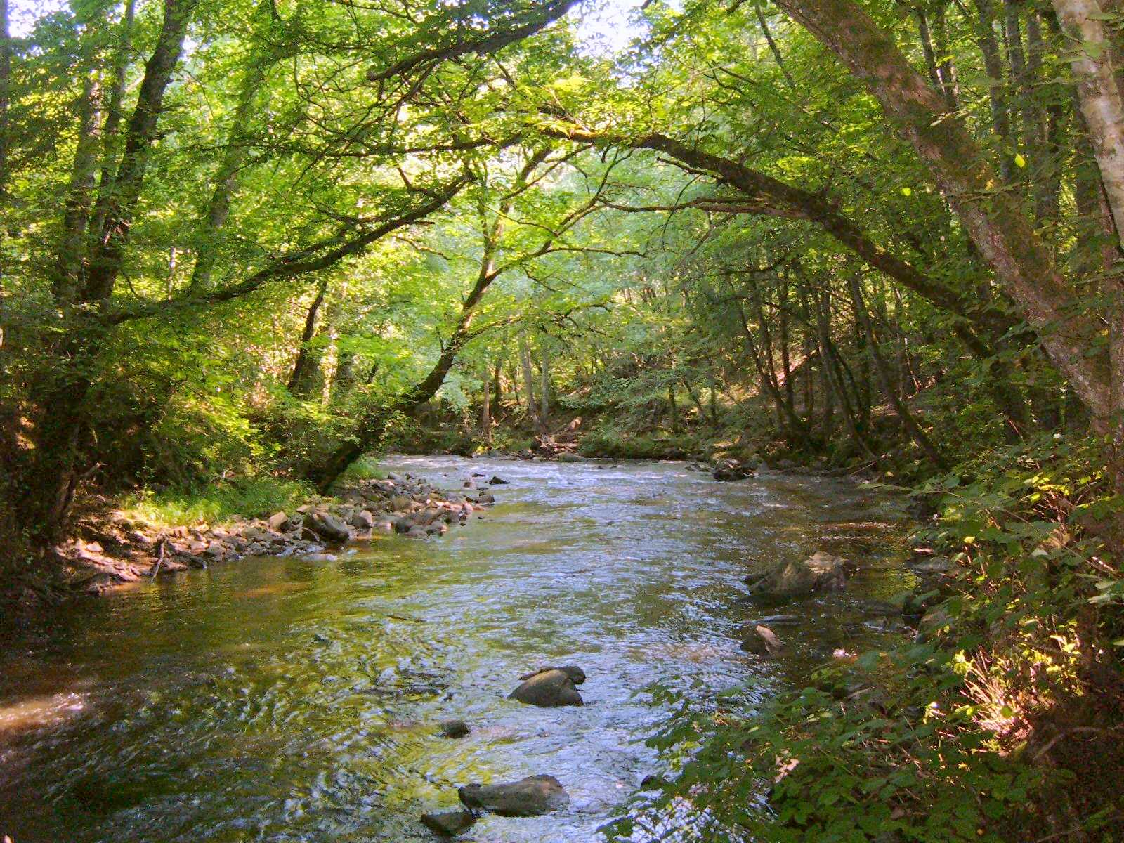 Source Rive Rmoutain Qui sommes-nous ? - Sources et rivières du Limousin
